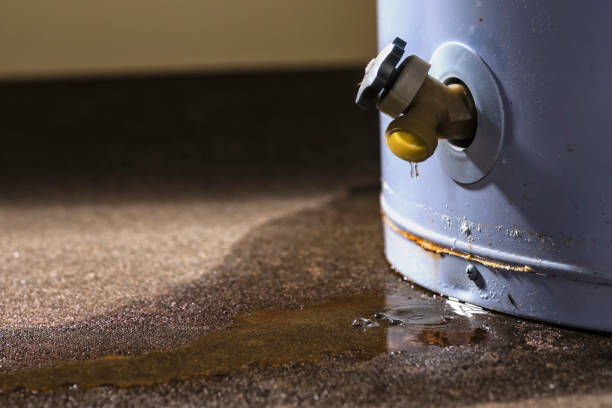 Best Fire Damage Restoration  in Woodbridge, VA