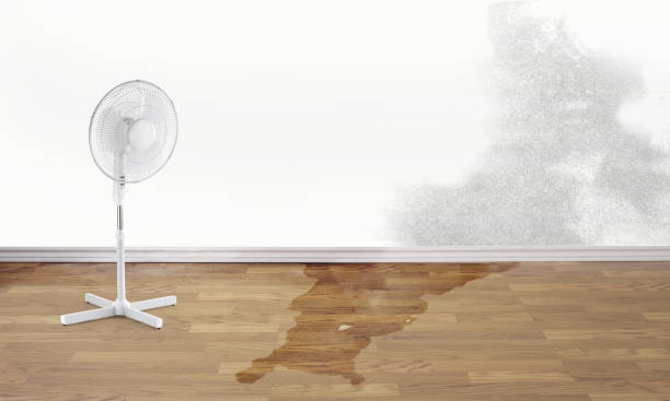 Reliable Woodbridge, VA Water damage restoration Solutions