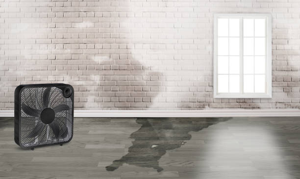 Best Sewage cleanup and water damage restoration  in Woodbridge, VA