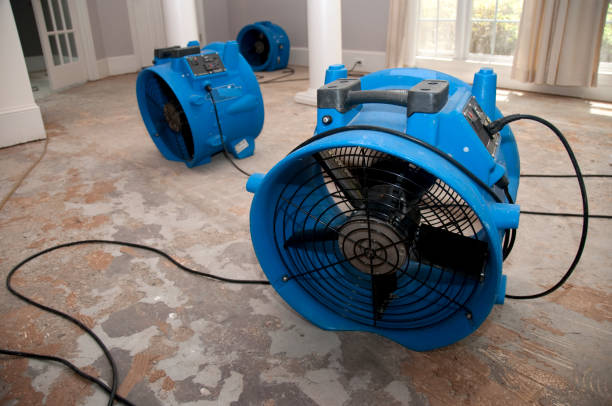Best Mold removal after water damage  in Woodbridge, VA