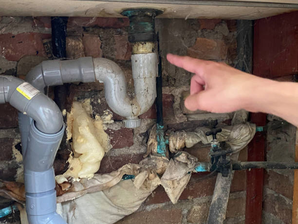 Best Professional water damage repair  in Woodbridge, VA