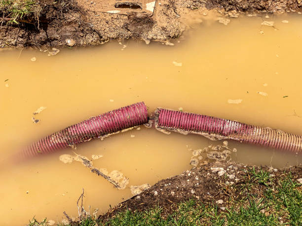 Sewage cleanup and water damage restoration in Woodbridge, VA