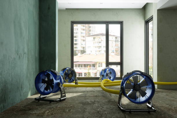 Best Water damage restoration company  in Woodbridge, VA