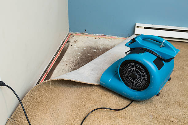 Best Commercial water damage restoration  in Woodbridge, VA